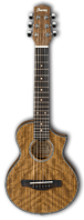 IBANEZ EWP14WB-OPN - Акустическая гитара