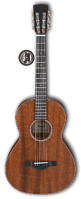IBANEZ ARTWOOD AVN9-OPN - Акустическая гитара